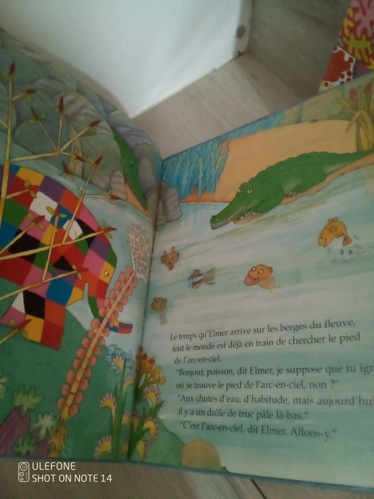 Set van 3 boeken Elmer David McKee – photo 6
